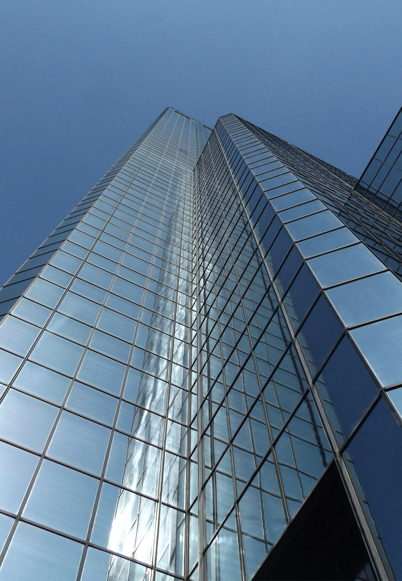 Adi Ortaklık ve Şirketler Hukuku